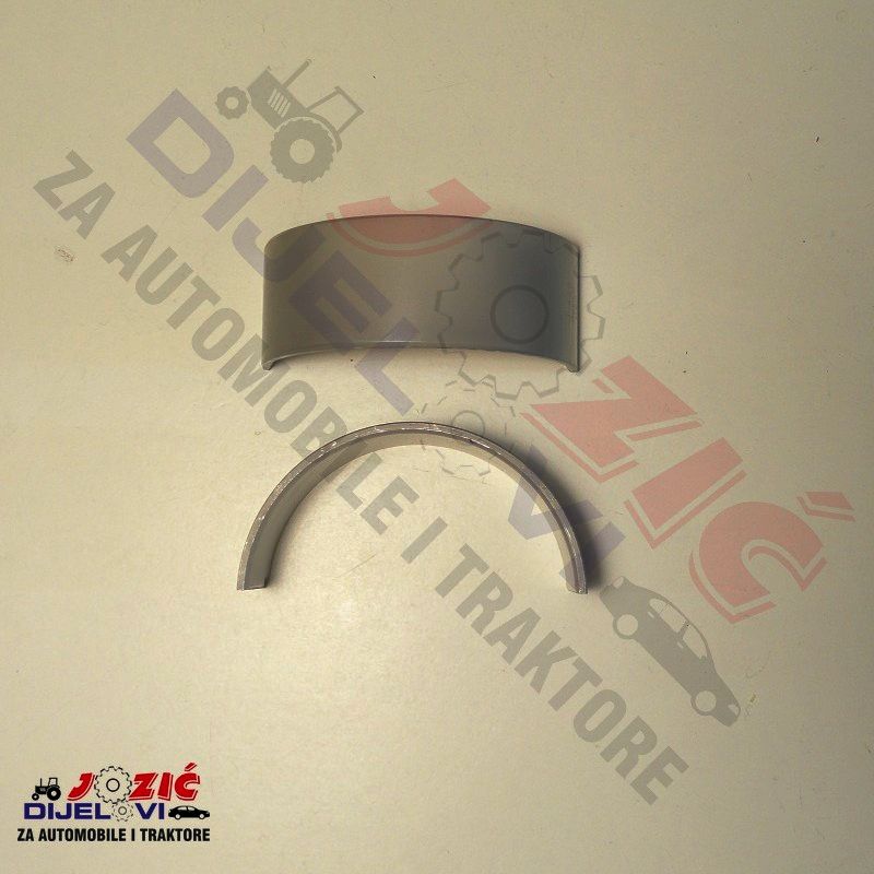 Daisy on the Ohoopee